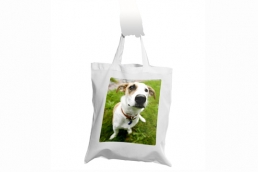 Shopping Bag